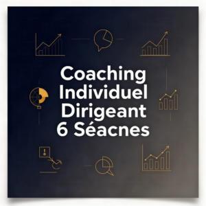 Coaching Individuel Dirigeant 6 Séances