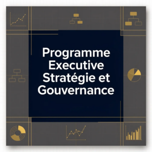 Programme Executive Stratégie et Gouvernance
