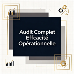 Audit Complet Efficacité Opérationnelle